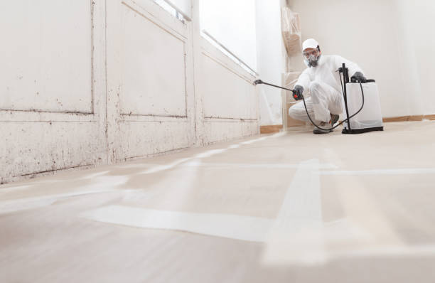 24/7 Emergency Mold Remediation experts in Jacksonville, TX